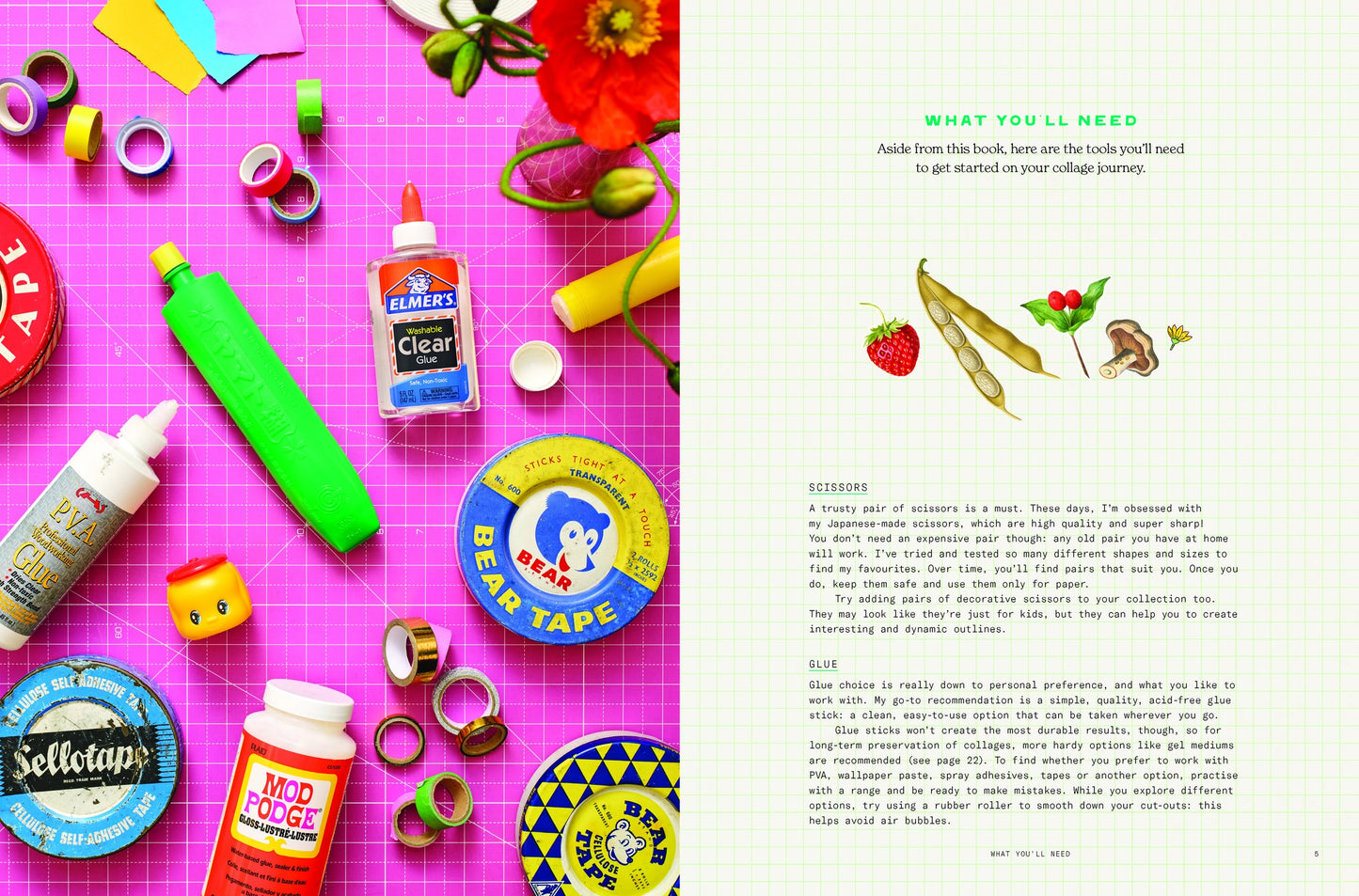 Cut-Out Curiousities: Botanica Book