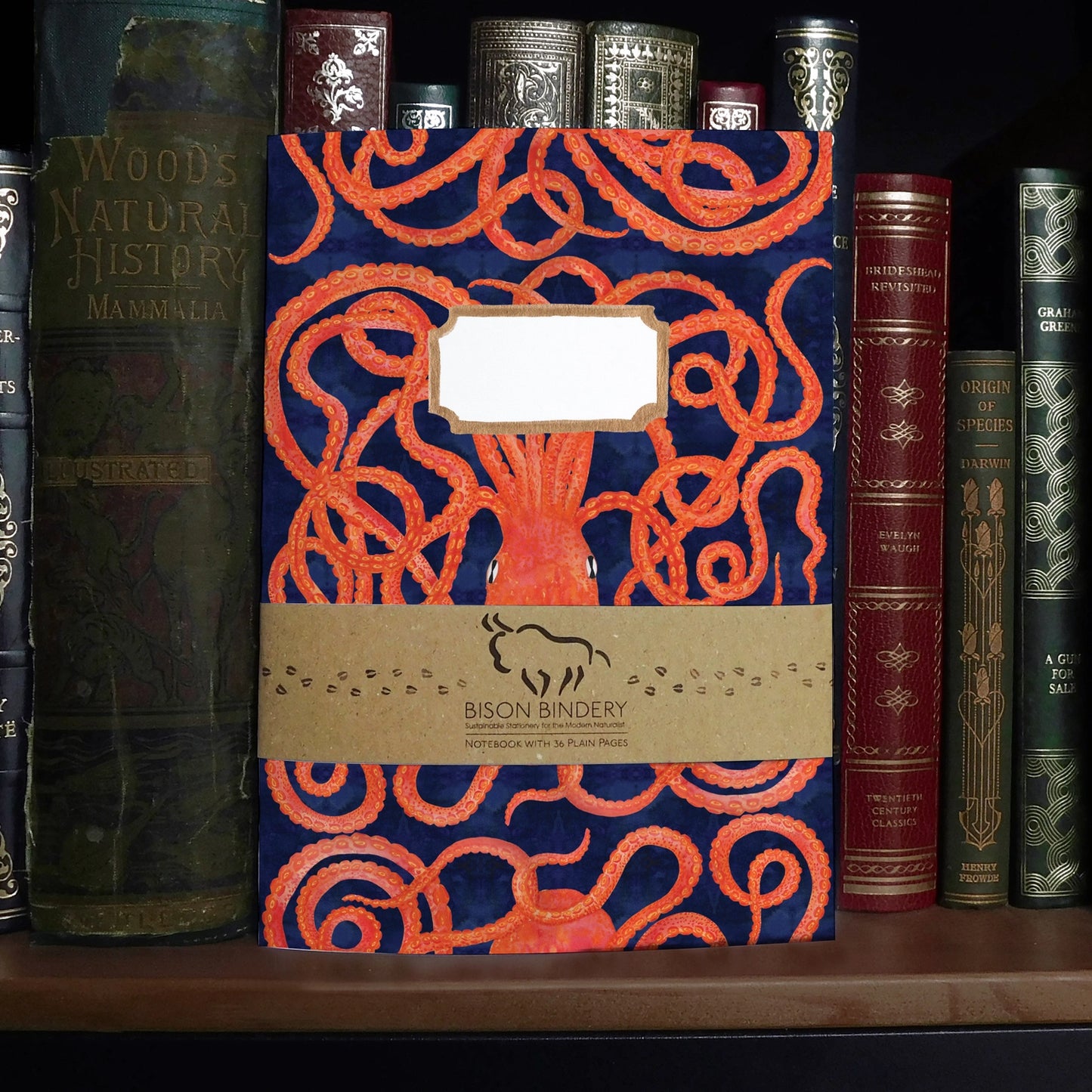 Octopoda Octopus, A5 Plain Pages Notebook: Bison Bindery