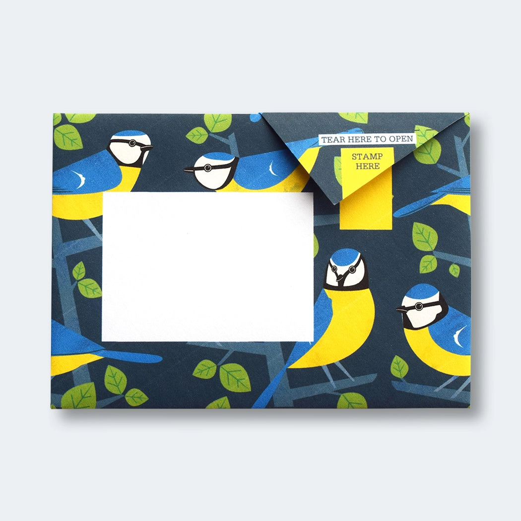 Pigeon Letters: Dawn Chorus