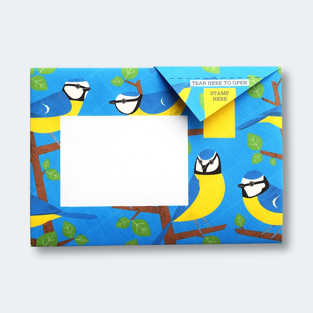 Pigeon Letters: Dawn Chorus