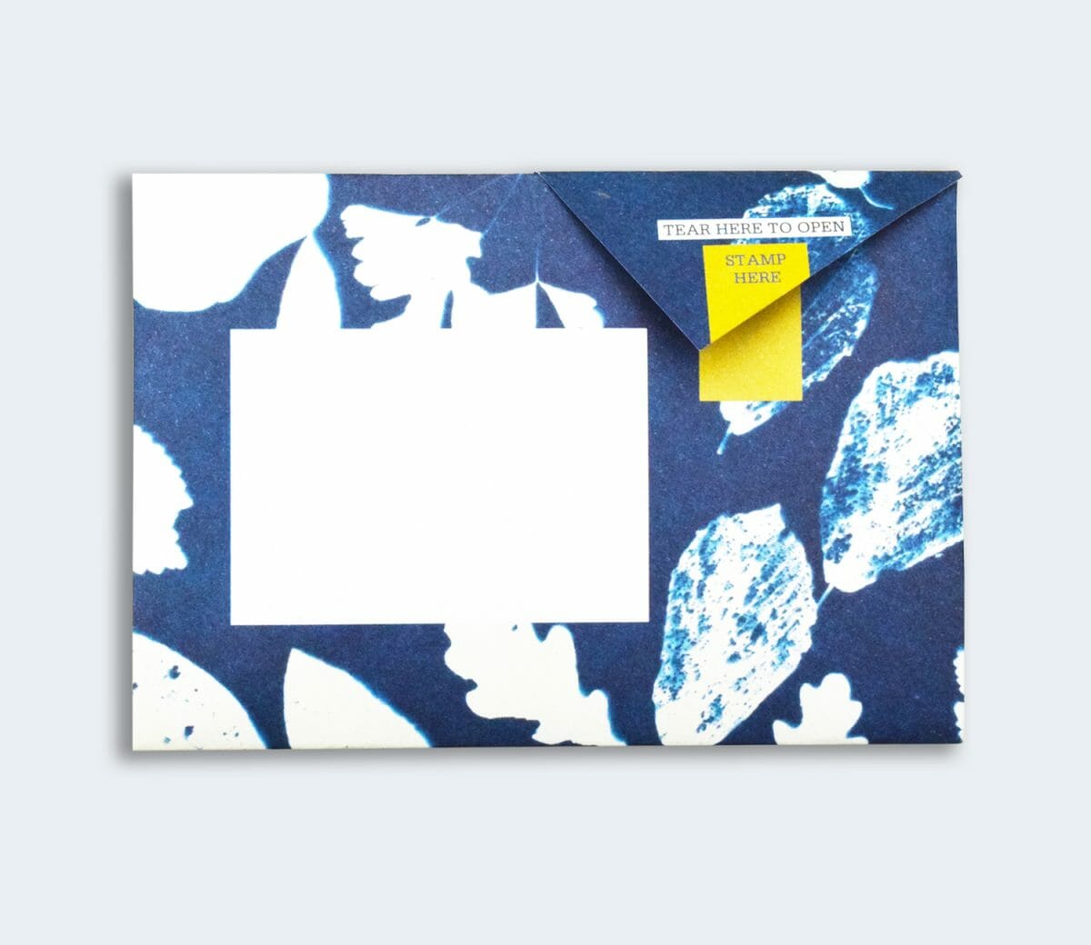 Pigeon Letters: Apothecary