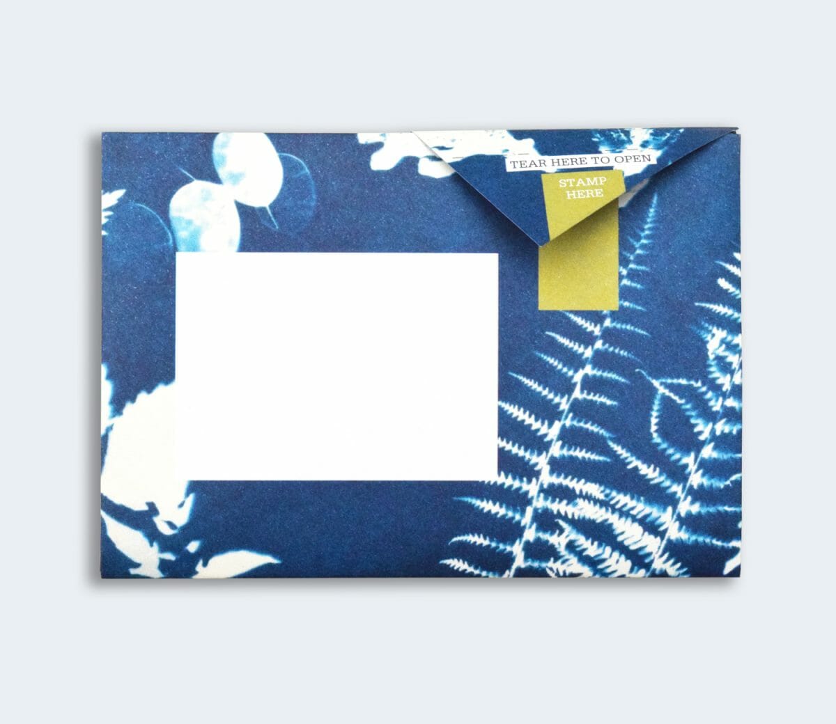 Pigeon Letters: Apothecary