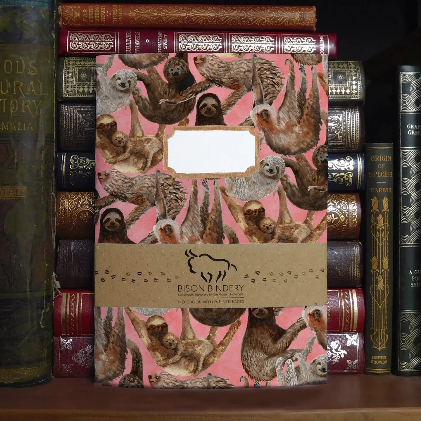 Sleuth of Sloths, A5 Notebook: Bison Bindery
