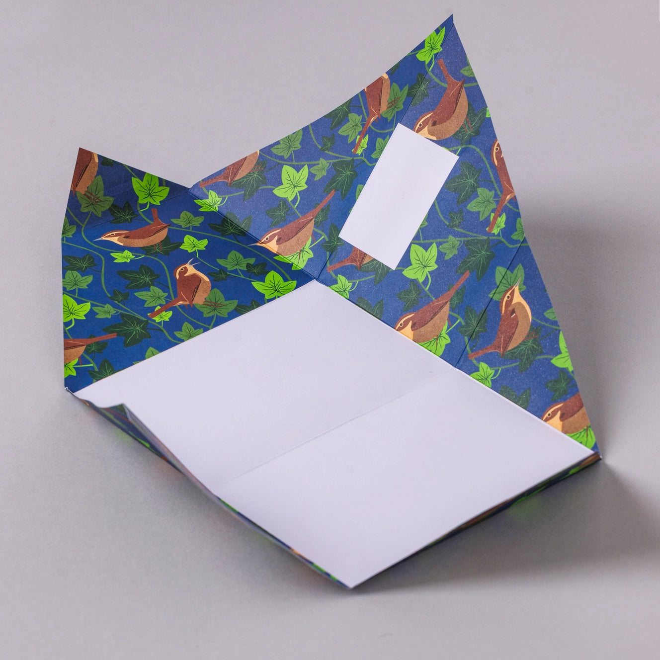 Pigeon Letters: Robin & Wren