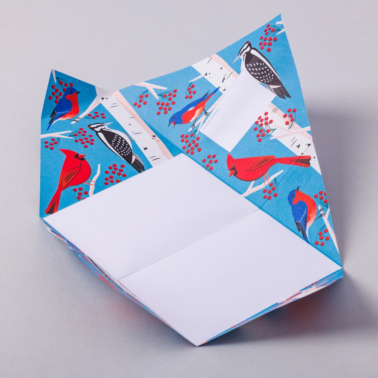 Pigeon Letters: Carnival of Colour